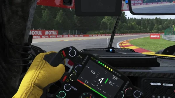 Le-Mans-Ultimate-Wheel-force-Feedback-Settings